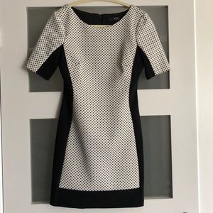 BCBG Paris Dress Sz 4